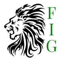 Finance and Investment Group at UIC logo - Similar company to Management Consulting Group (Mcg)