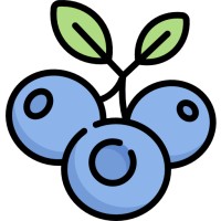 Codeberry Canada logo - Similar company to Caseeasy.Ca | Empowering Canadian Immigration Practitioners