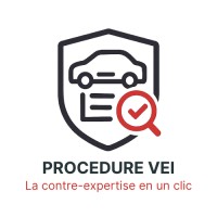 Procedure VEI logo - Similar company to Spdo