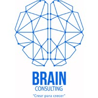 Brain Consulting SAC logo - Similar company to Factur@Ctiva Del Perú