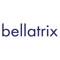 Bellatrix logo - Similar company to Bellatrix