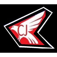 Cameojet logo - Similar company to Intelli.Jet