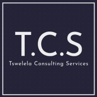 TCS Security logo - Similar company to Dj Electro Control System