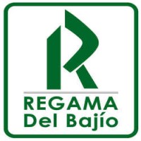 Regama del Bajio logo - Similar company to Tf Wickeltechnik