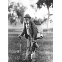 Matilda Capital Management Ltd logo - Similar company to Clauser Tree Care, Llc