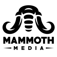Bigshine Media & Entertainment logo - Similar company to Inksling Media & Entertainment Pvt. Ltd.
