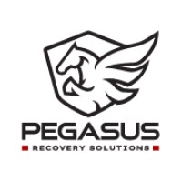 Pegasus Recovery Solutions logo - Similar company to Pegasus Network Solutions