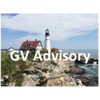 GV Advisory logo - Similar company to Aptex