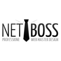 Netboss logo - Similar company to Netboss Bv