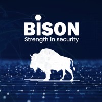 Bison Technology logo - Similar company to Recruitwithbee