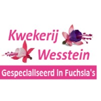 Kwekerij Wesstein logo - Similar company to Topgreen – Twój Partner W Świecie Florystyki I Dekoracji