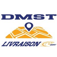 DMST - Transport & Déménagement logo - Similar company to Nooliv.