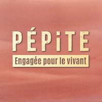 Pépite by Agro Sourcing logo - Similar company to Agro Sourcing