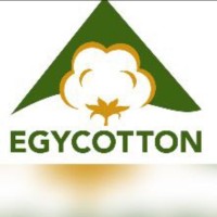 EGYCOTTON For Cotton Products logo - Similar company to Ernest Advertising