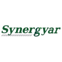 Synergyar - Consulting Boutique logo - Similar company to Cj Boutique Consulting & Coaching
