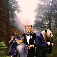 sauvarjon [wildness is more] logo - Similar company to Mcomedia