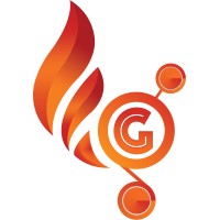 Fluxigrace logo - Similar company to Kt Informatik