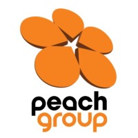 Peach Group Norge logo - Similar company to Peach Group Bv