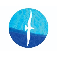 A. Adler Institute logo - Similar company to B&P Solutions