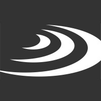 DISHER Talent Solutions logo - Similar company to Austin.Com