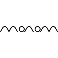 monom logo - Similar company to Visuin