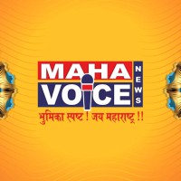 Mahavoice News logo - Similar company to Secureonlinereputation