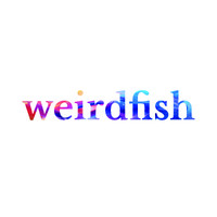 weirdfish logo - Similar company to Hoch Design Workshop