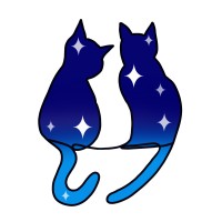 Neurokin OT logo - Similar company to National Disability Care
