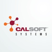 Calsoft Systems logo - Similar company to Luminous Networks