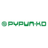 PYPUN-KD & Associates Limited logo - Similar company to Key Direction Limited