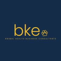 BKE Business Consultants logo - Similar company to Iq Sense Technology