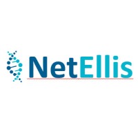Netellis logo - Similar company to Followers.Com