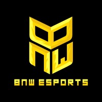 BNW Esports logo - Similar company to Msa Usaha Mandiri