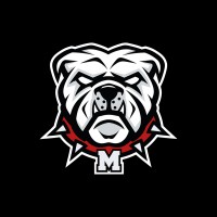 Molosses Football Asnières logo - Similar company to Lor&Informatique