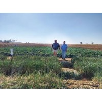 AgriPulse Digital logo - Similar company to Agripulse
