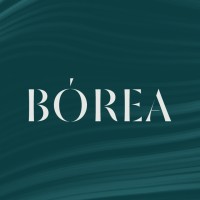 BÓREA logo - Similar company to Colegio Saint Clair