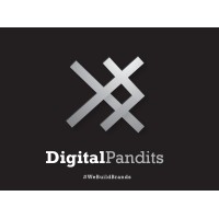 Digital Pandits logo - Similar company to Tzet It Solutions Pvt Ltd