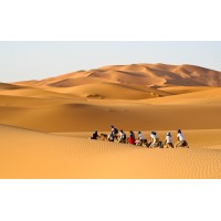 Morocco travel agency logo - Similar company to No Limits Travel - Dmc