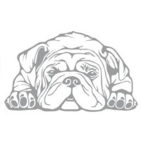 Overvet logo - Similar company to Ergolean