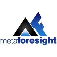 metaforesight FZ LLC logo - Similar company to Sgw Global
