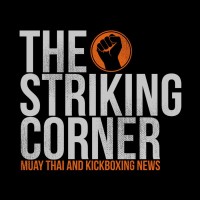 The Striking Corner logo - Similar company to Pugilife