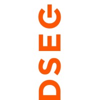 DSEG logo - Similar company to Omegax Solutions
