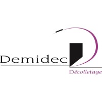 DEMIDEC logo - Similar company to World Cup Fans
