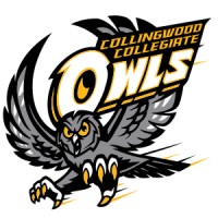 Collingwood Collegiate Institute (CCI) logo - Similar company to Live More Now In Collingwood