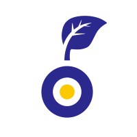 Newmore Capital logo - Similar company to Ktb Technologies