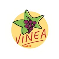 VINEA MAROC logo - Similar company to Splmns Gmbh