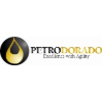 Petrodorado Energy Ltd. logo - Similar company to Mintensity