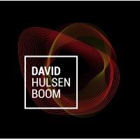 David Hulsenboom logo - Similar company to Talent Eye