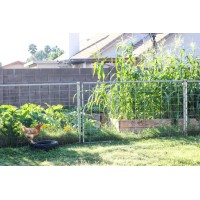 Bettysol Wealth Animals & Farm Crops Ventures logo - Similar company to One Farm