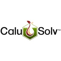 CaluSolv logo - Similar company to Trc Partners Llc